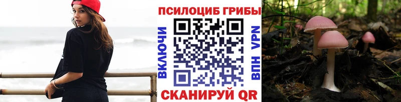 Псилоцибиновые грибы Psilocybe Бугульма